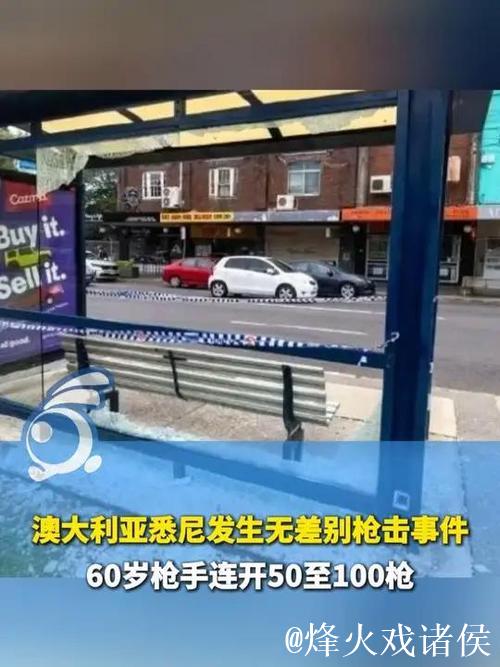 澳大利亚邦迪海滩发生无差别射击事件 澳大利亚邦迪海滩发生无差别射击事件
